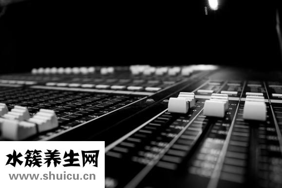 人体器官分布图