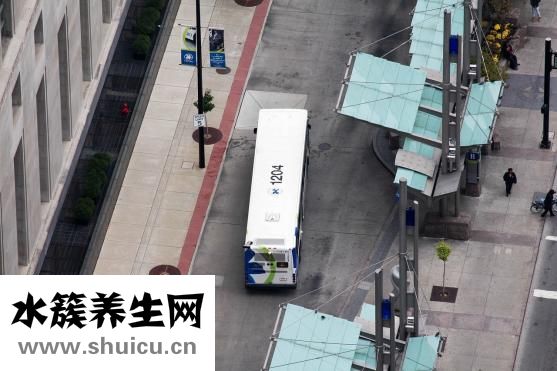 人体器官分布图