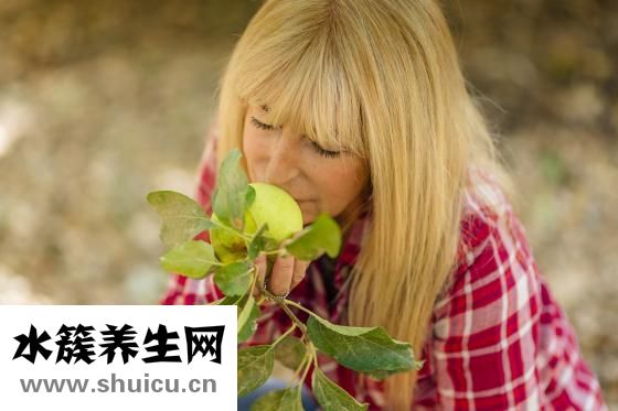 莲藕营养丰富具有良好润肺凉血功效