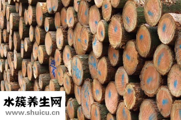 阳光玫瑰葡萄