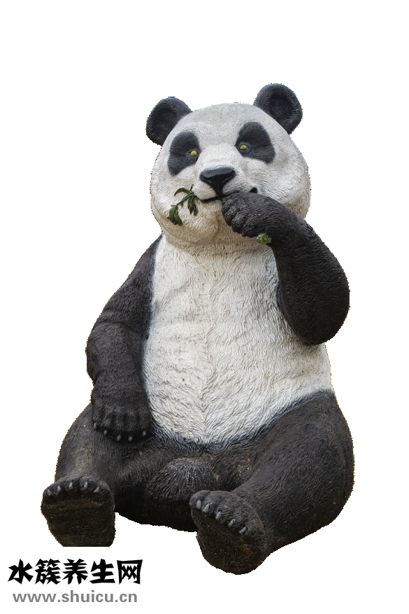 中国的熊猫血是什么血形？