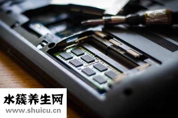 黄柏的功效与作用