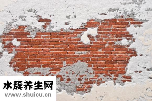 荞麦面粉的做法大全