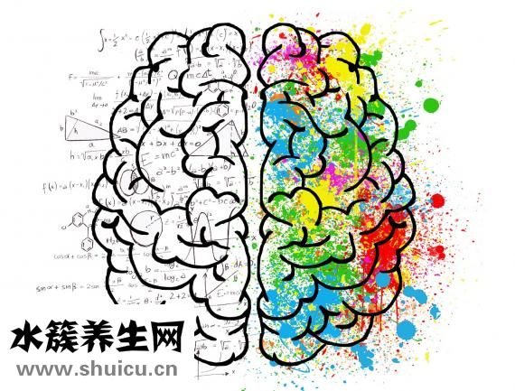 卵磷脂的功效与作用