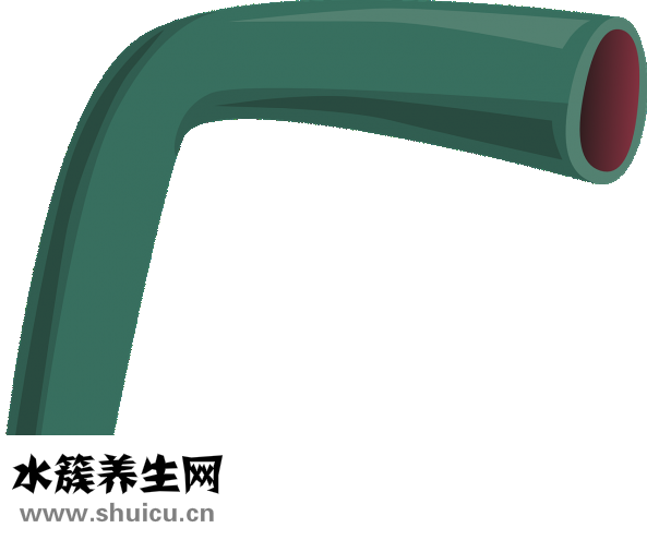库欣综合征