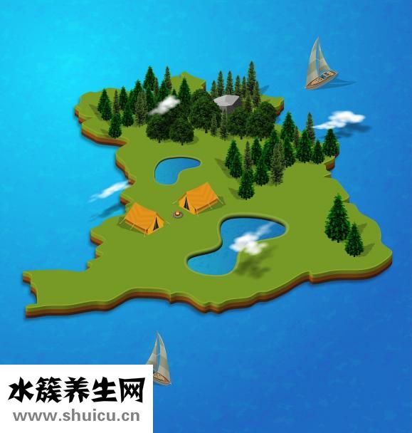 人体器官分布图