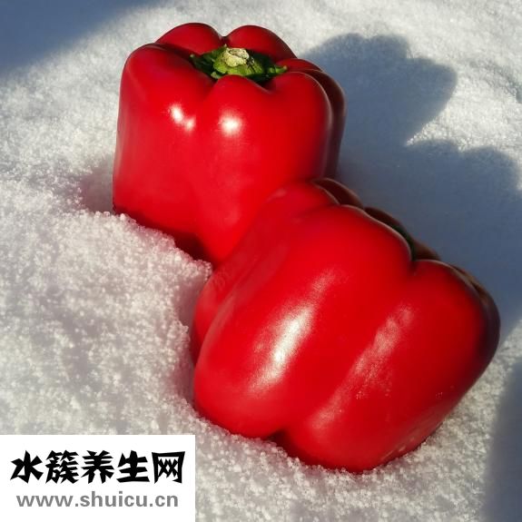 榴石籽可直接吃或泡水喝都可以