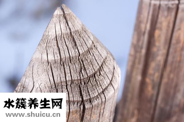 远志的功效与作用
