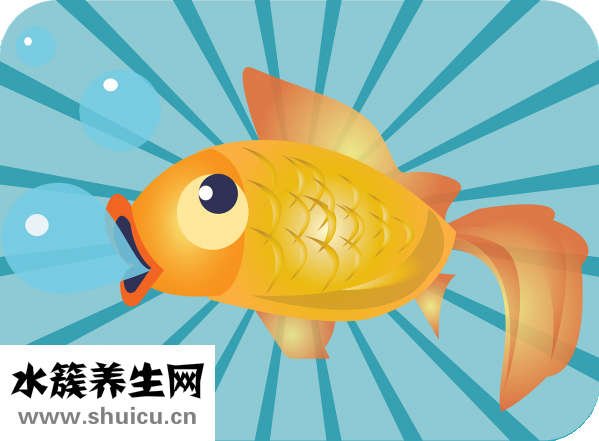 蓝莓的功效与作用