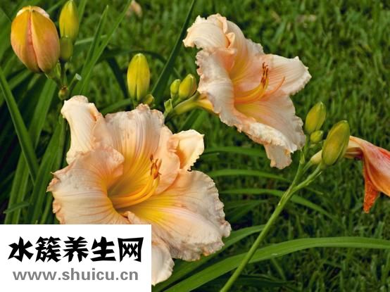 安全期计算器