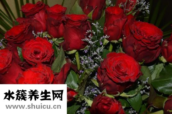 阳光玫瑰葡萄