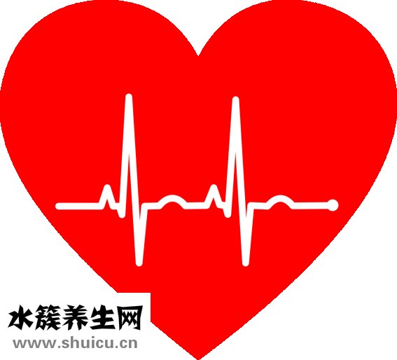 心电图导联位置