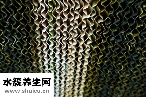 豆浆的做法和配方