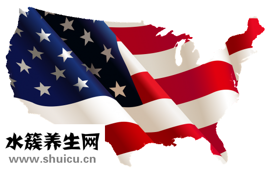 糖皮质激素