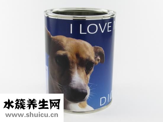 富马酸喹硫平片