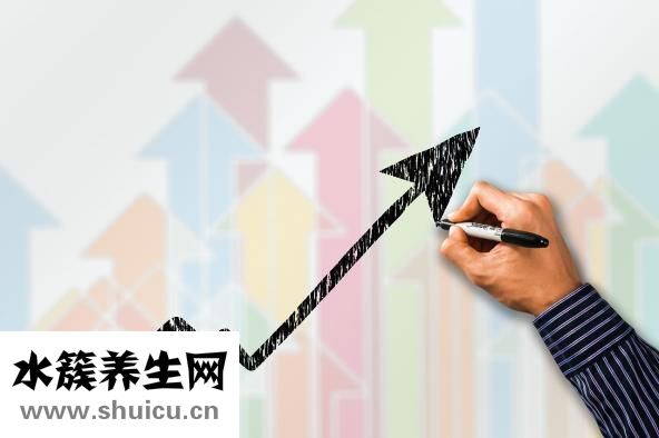 冬虫夏草的价格