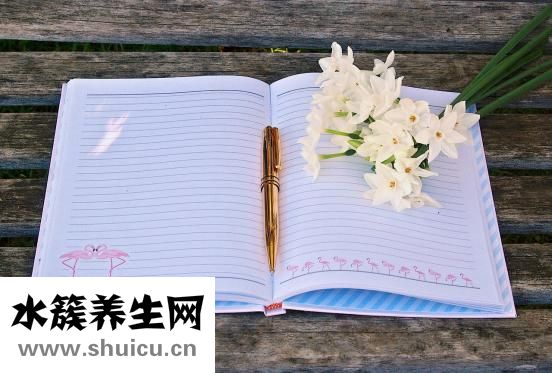 独活的功效与作用