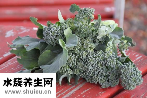 吃什么长头发