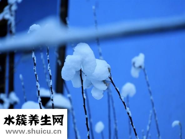 补肾壮阳的最佳方法