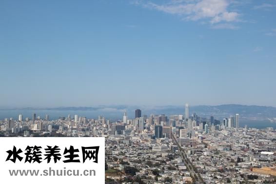 苦参的功效与作用