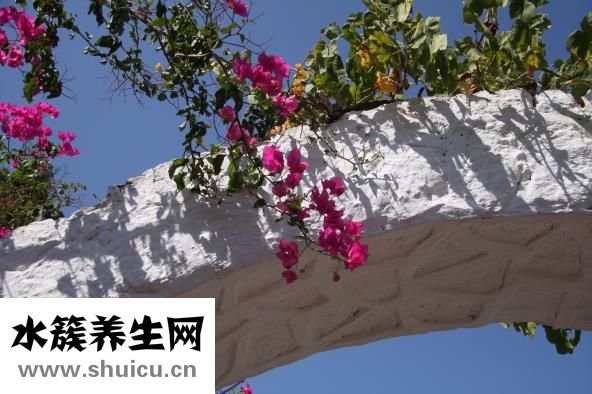 补肾壮阳的最佳方法