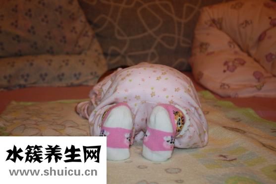 厚朴的功效与作用