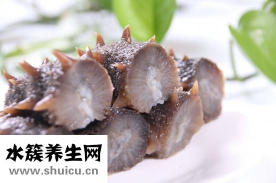 海参的功效与作用