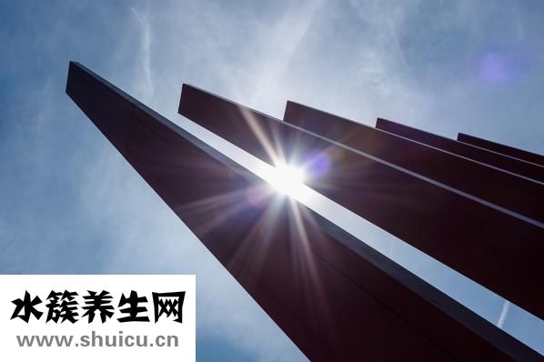 黄连上清片