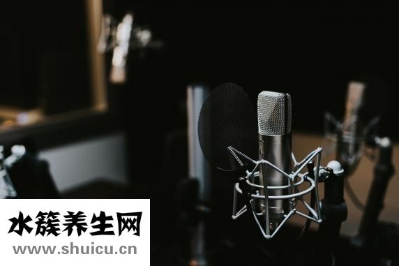 内脏器官分布图