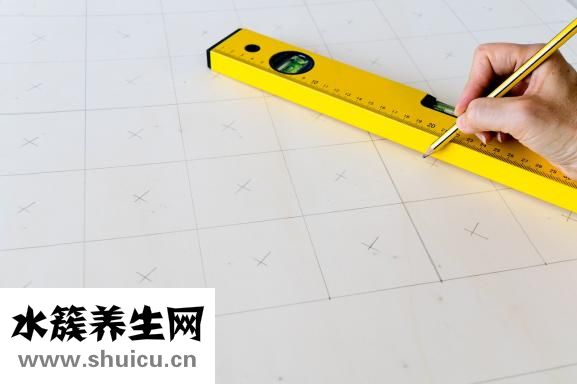 双顶径是什么意思