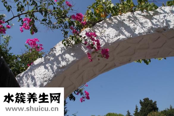 带状疱疹怎么治疗