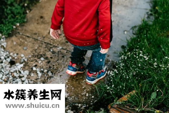 黄豆的功效与作用