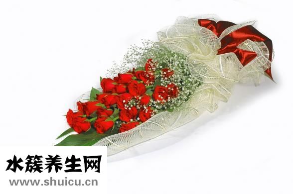 海参的功效与作用