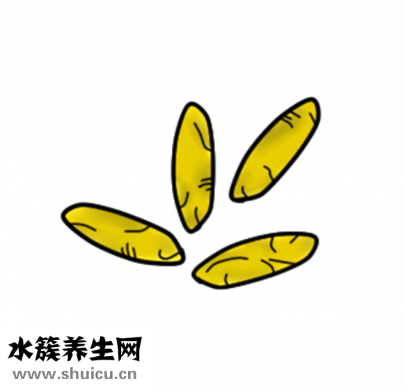 厄贝沙坦片