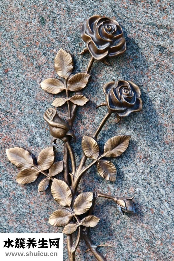 连花清瘟颗粒