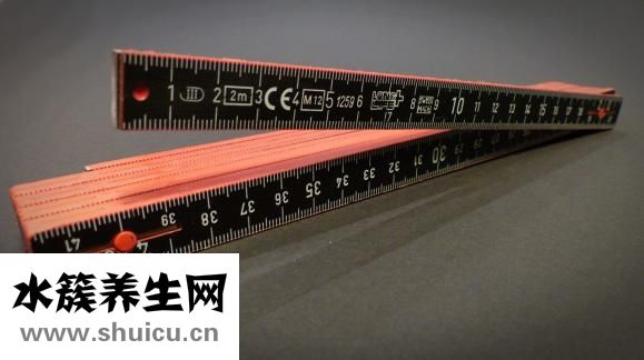 苦参的功效与作用