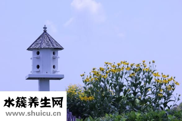 左佐匹克隆片可治帕金森？一定要留意身体