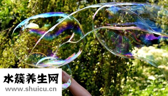 苦参的功效与作用