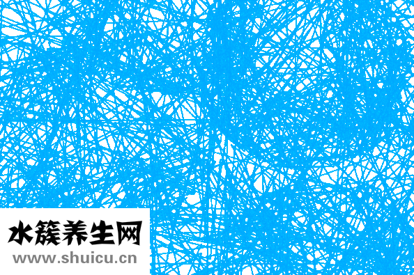 银杏叶图片