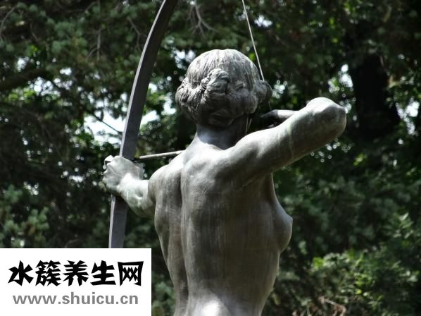 左氧氟沙星片
