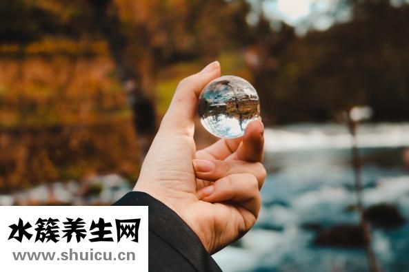 透骨草的功效与作用