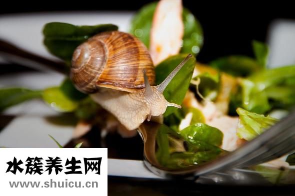 死螃蟹能吃吗