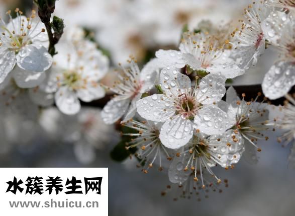溃疡性结肠炎