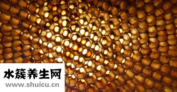 密集恐惧症图片