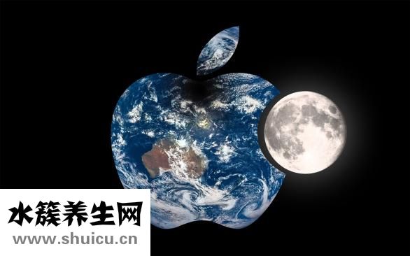刺五加的功效与作用
