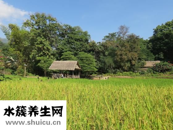 双氯芬酸钠