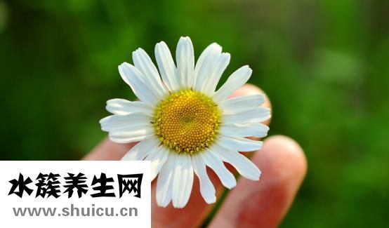 马凡综合征
