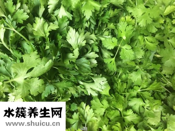 茄子的功效与作用