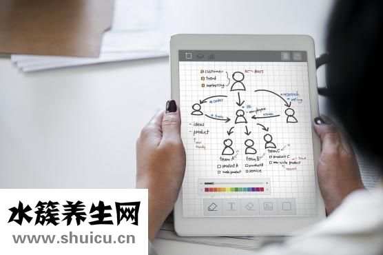 椰枣的功效与作用
