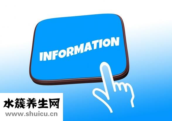 什么的蒲公英